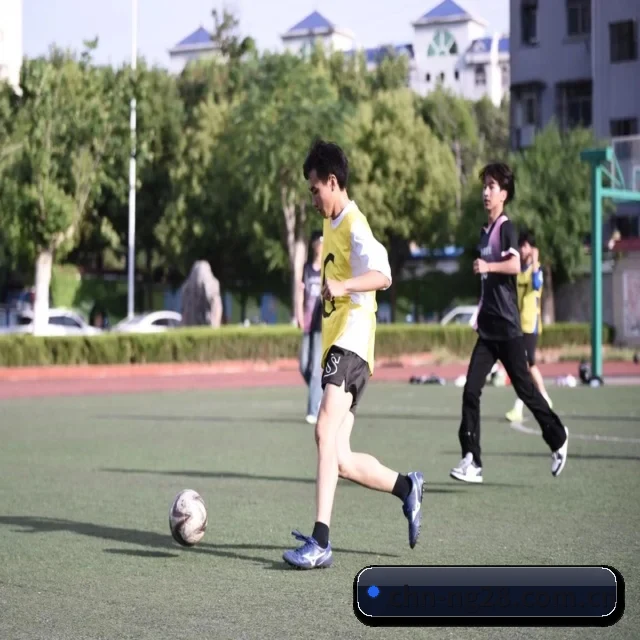 南宫28官方入口 APP 界面